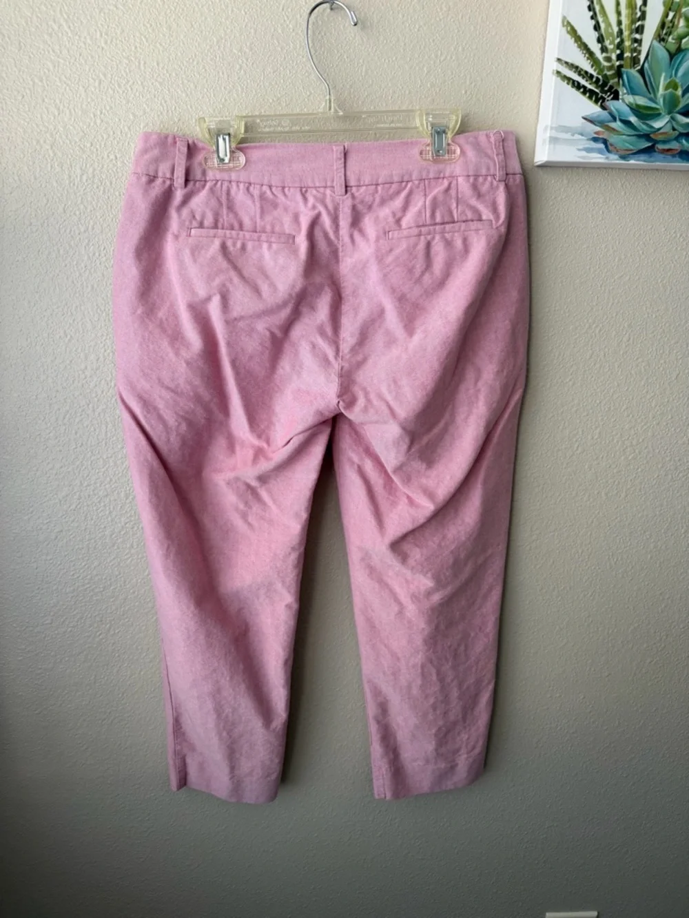 J.Crew Women's Size 4 Skimmer Pants, Vintage Barn - Picture 2 of 8